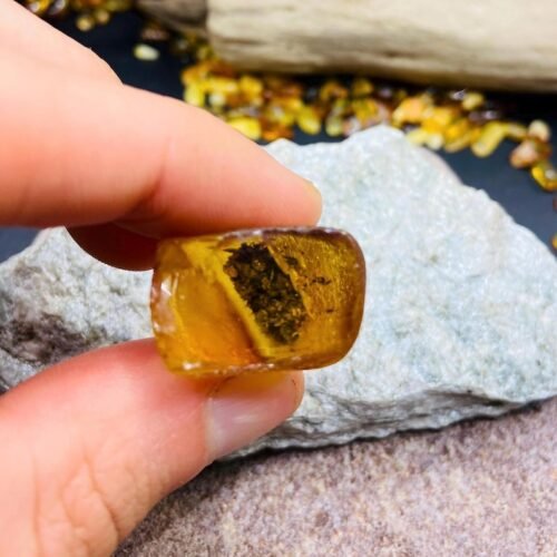 56548094-r-il-168b53-7238121951-il_794xN.7238121951_93ri Miljoniem gadu veca fosīlija iekš Baltijas Dzintara akmeņa