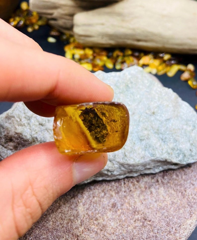 56548094-r-il-168b53-7238121951-il_794xN.7238121951_93ri Miljoniem gadu veca fosīlija iekš Baltijas Dzintara akmeņa