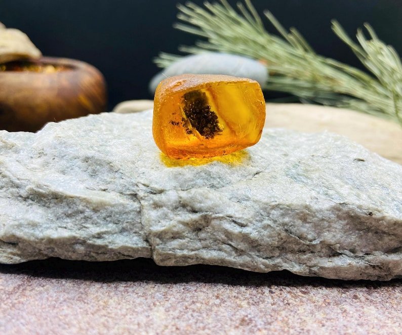 56548094-r-il-20baa8-7190141278-il_794xN.7190141278_s536 Miljoniem gadu veca fosīlija iekš Baltijas Dzintara akmeņa