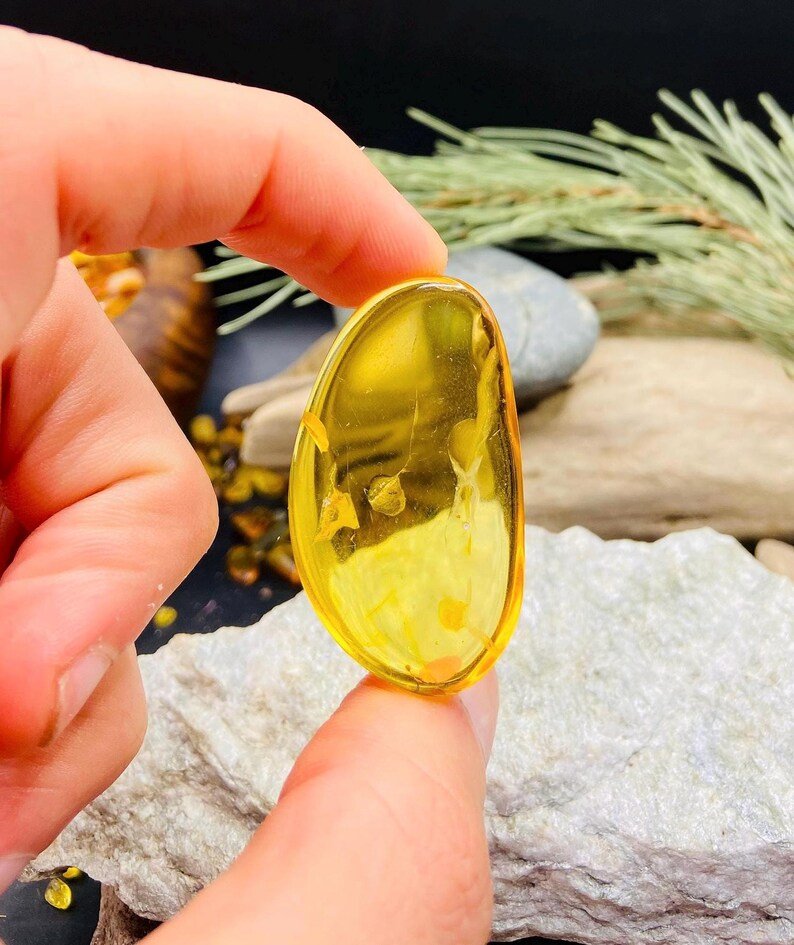 Premium Baltijas Dzintara Kabahoni citrona nokrāsā