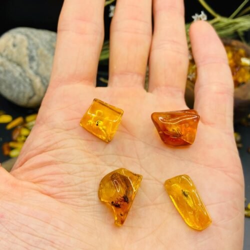 56548094-r-il-28787e-6806327238-il_794xN.6806327238_ikqc Baltijas Dzintars ar moskītiem, miljoniem gadu veci ietvērumi