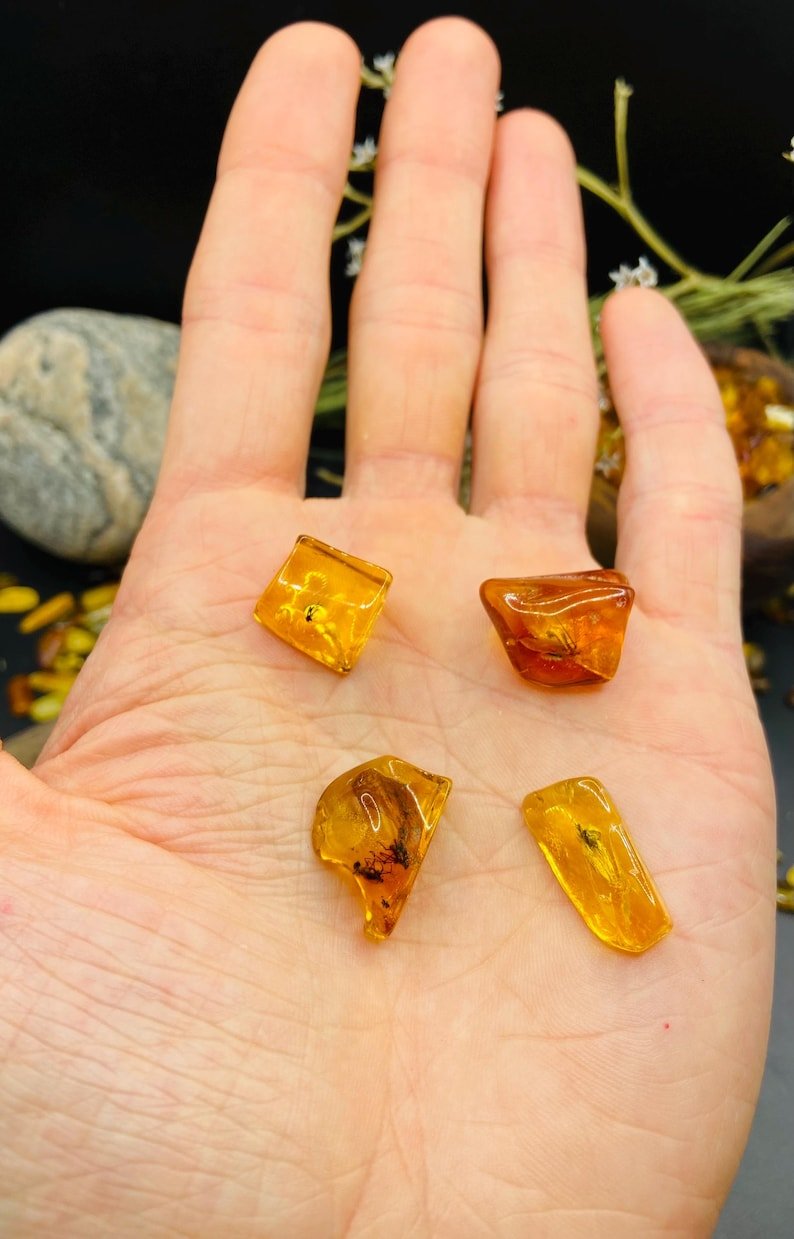 56548094-r-il-28787e-6806327238-il_794xN.6806327238_ikqc Baltijas Dzintars ar moskītiem, miljoniem gadu veci ietvērumi