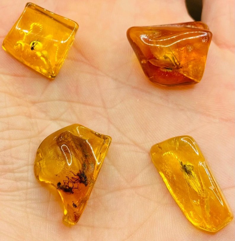 56548094-r-il-37ba48-6806326366-il_794xN.6806326366_ilnj Baltijas Dzintars ar moskītiem, miljoniem gadu veci ietvērumi