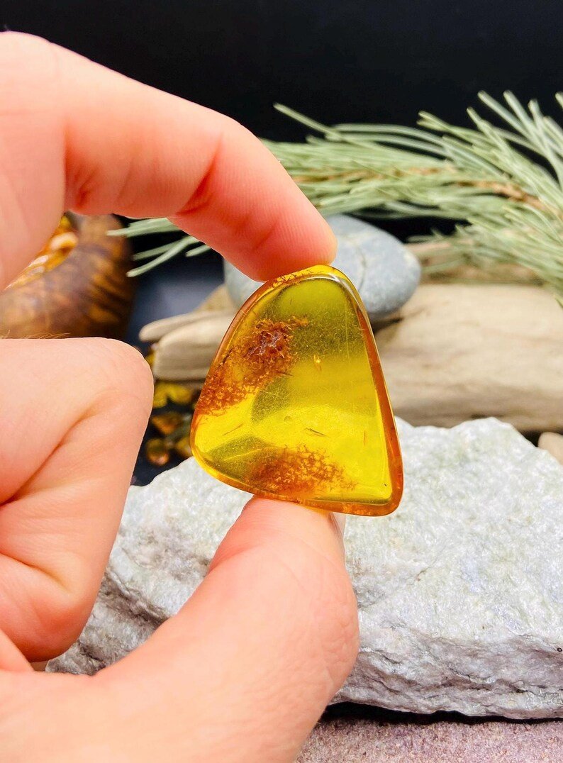 Premium Baltijas Dzintara Kabahoni citrona nokrāsā