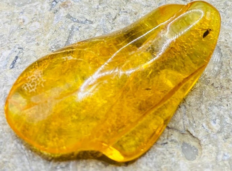 56548094-r-il-577ea5-6806326370-il_794xN.6806326370_o0h8 Baltijas Dzintars ar moskītiem, miljoniem gadu veci ietvērumi