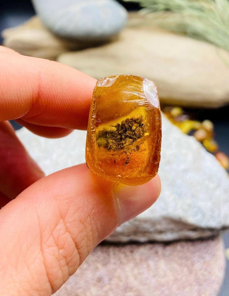 56548094-r-il-5ef66b-7238117495-il_794xN.7238117495_cq44 Miljoniem gadu veca fosīlija iekš Baltijas Dzintara akmeņa