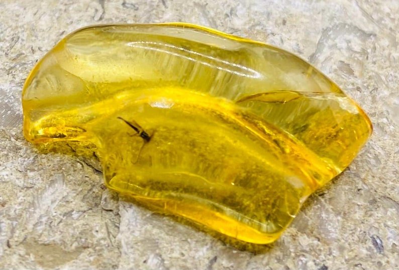 56548094-r-il-64f90e-6854332141-il_794xN.6854332141_ejta Baltijas Dzintars ar moskītiem, miljoniem gadu veci ietvērumi