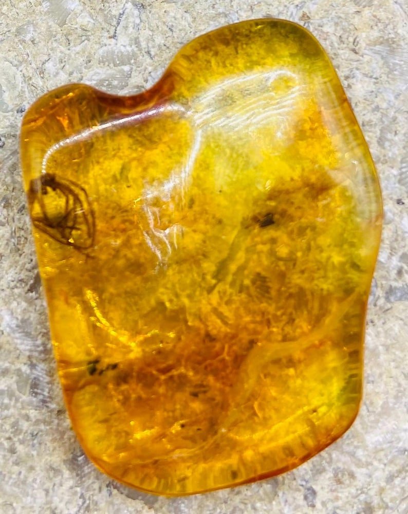 56548094-r-il-65db77-6806326394-il_794xN.6806326394_evsw Baltijas Dzintars ar moskītiem, miljoniem gadu veci ietvērumi