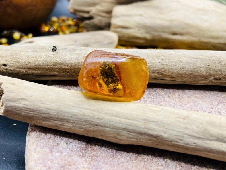 56548094-r-il-7e66d7-7190143320-il_794xN.7190143320_6qzb Miljoniem gadu veca fosīlija iekš Baltijas Dzintara akmeņa