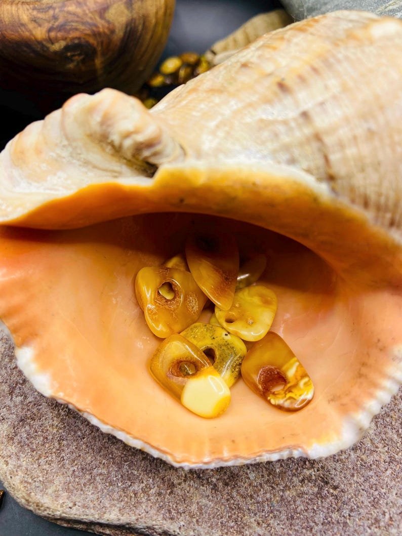 56548094-r-il-82e591-7151007267-il_794xN.7151007267_bt62 Baltaie Dzintara kuloni ar Dabiski veidojušiem caurumiem