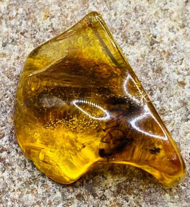 56548094-r-il-85f795-6806326342-il_794xN.6806326342_q9wk Baltijas Dzintars ar moskītiem, miljoniem gadu veci ietvērumi