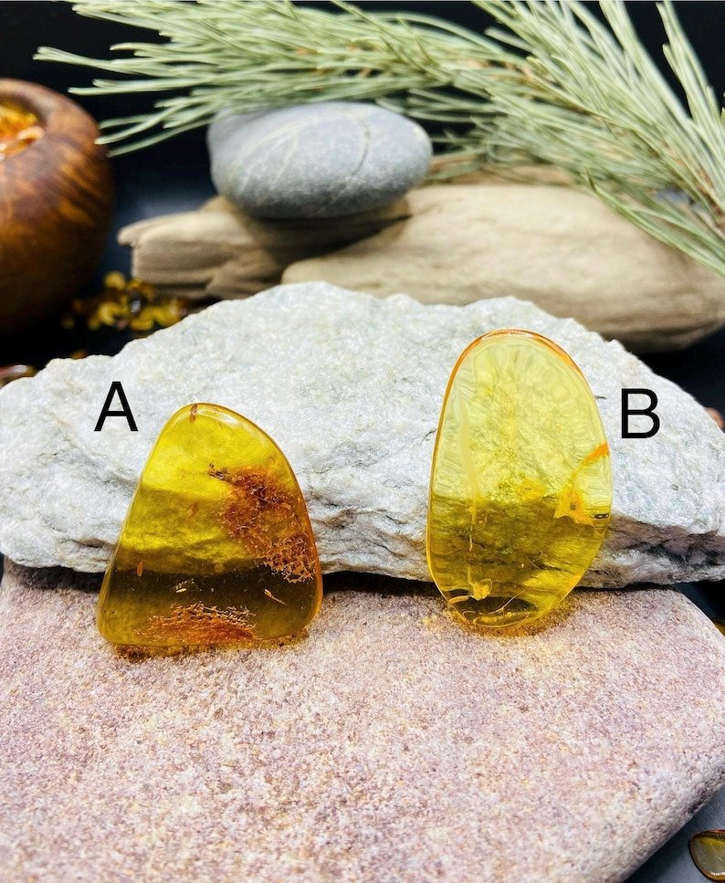 Premium Baltijas Dzintara Kabahoni citrona nokrāsā