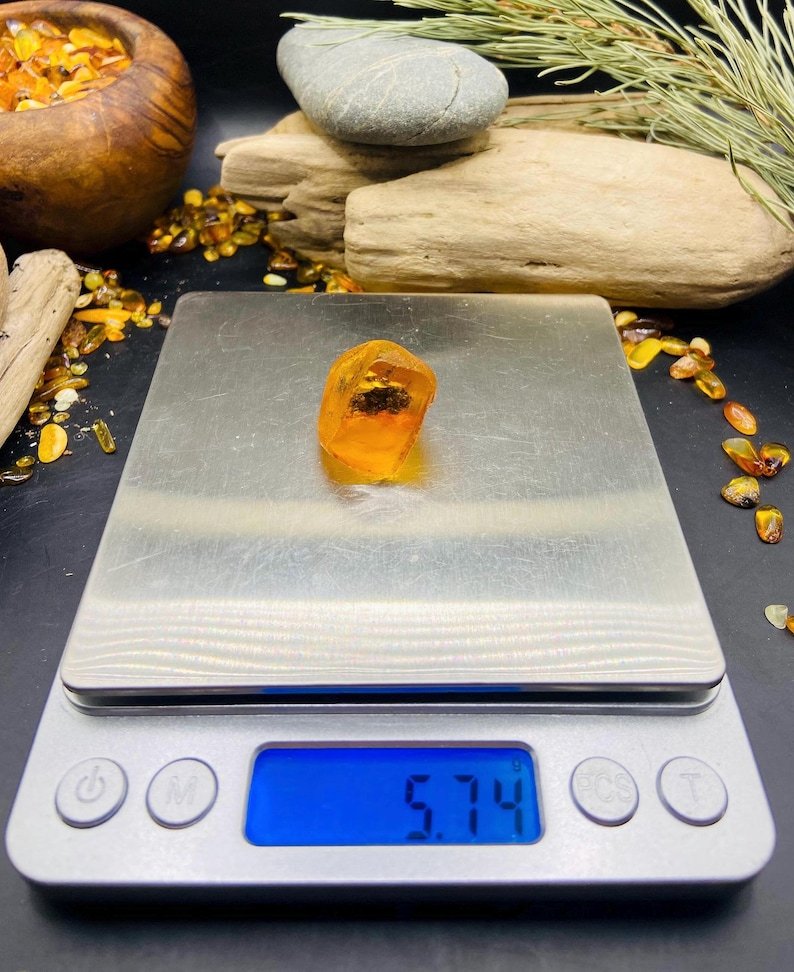 56548094-r-il-9fc3c1-7190147138-il_794xN.7190147138_8fnw Miljoniem gadu veca fosīlija iekš Baltijas Dzintara akmeņa