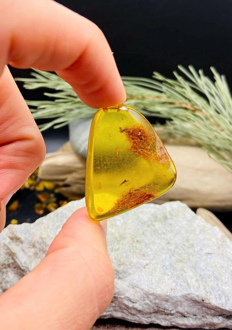 Premium Baltijas Dzintara Kabahoni citrona nokrāsā