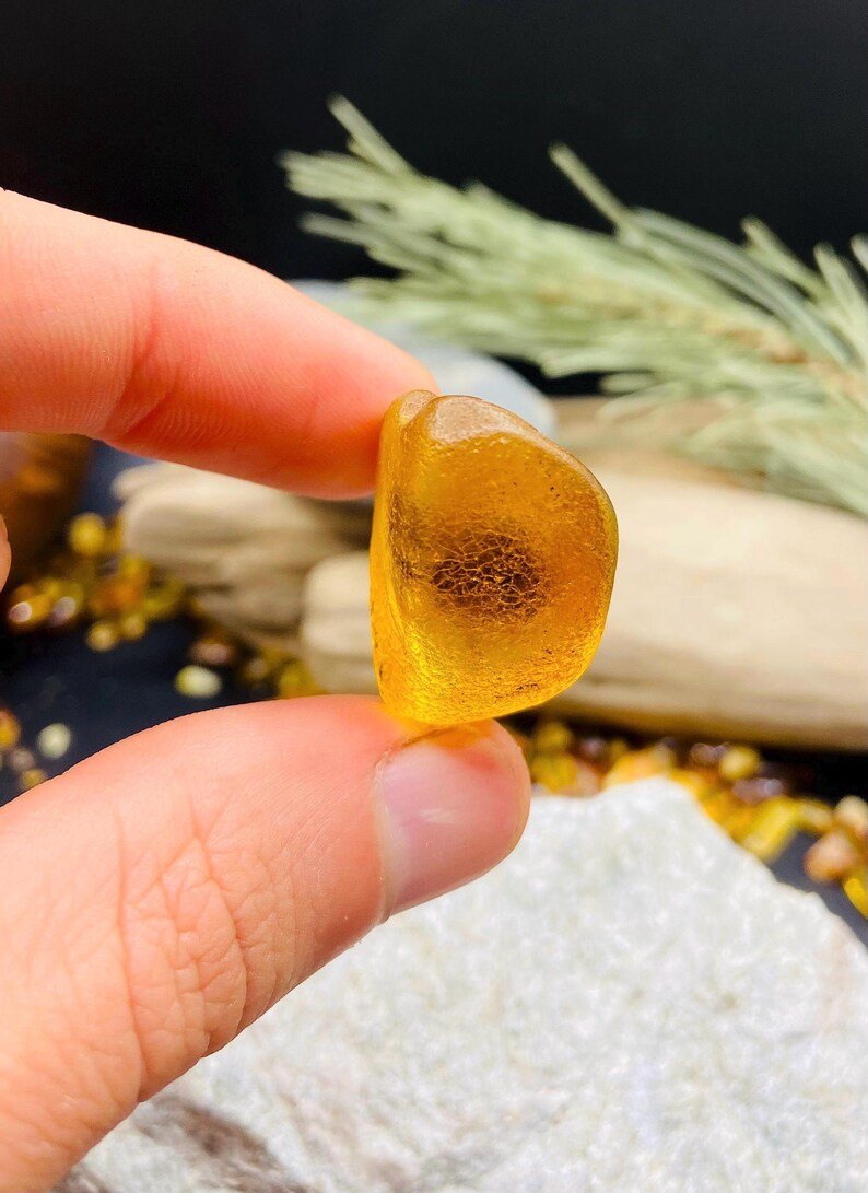 56548094-r-il-b2010f-7190143918-il_794xN.7190143918_ggyo Miljoniem gadu veca fosīlija iekš Baltijas Dzintara akmeņa