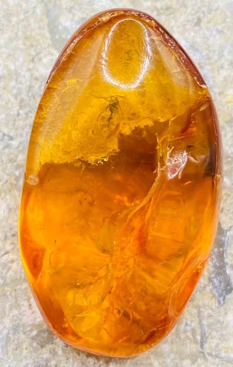 56548094-r-il-ca2f11-6806326358-il_794xN.6806326358_mwu6 Baltijas Dzintars ar moskītiem, miljoniem gadu veci ietvērumi