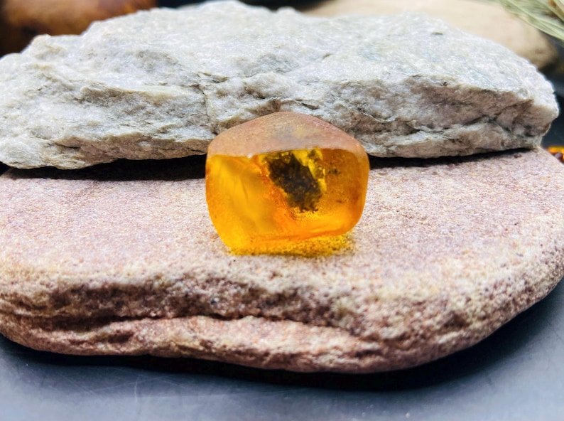 56548094-r-il-ce0c2b-7190142126-il_794xN.7190142126_s7fz Miljoniem gadu veca fosīlija iekš Baltijas Dzintara akmeņa