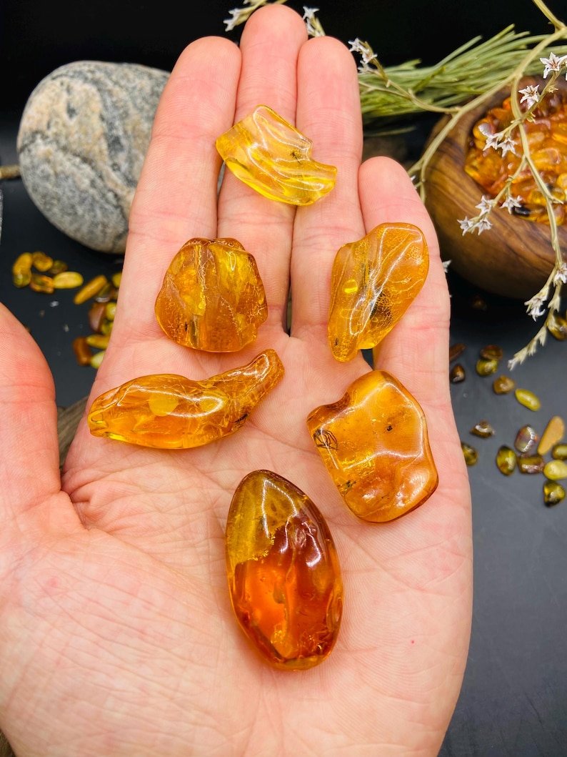 56548094-r-il-e83d74-6806327254-il_794xN.6806327254_om98 Baltijas Dzintars ar moskītiem, miljoniem gadu veci ietvērumi