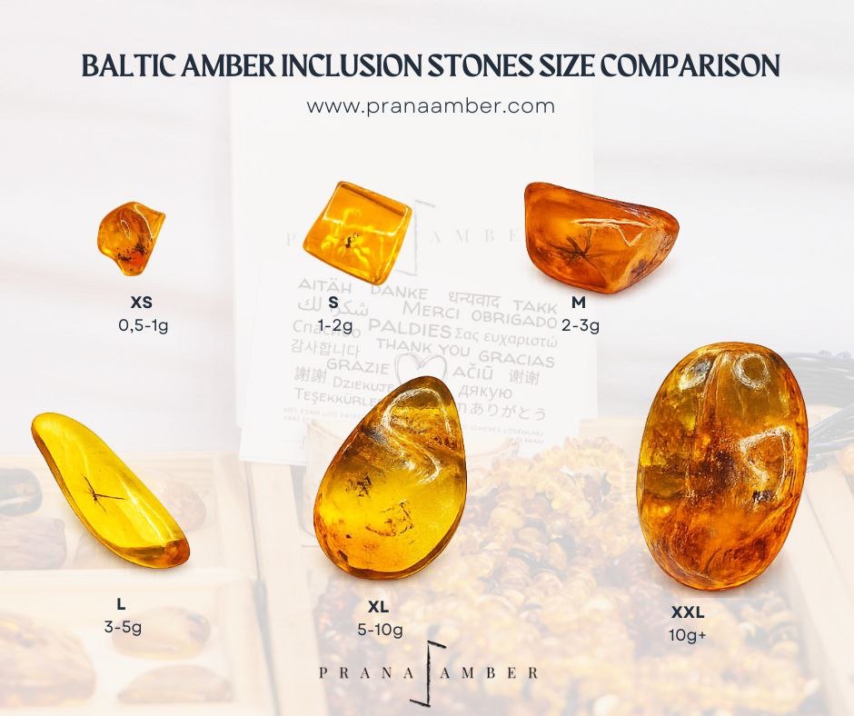 Baltijas Dzintars ar moskītiem, miljoniem gadu veci ietvērumi