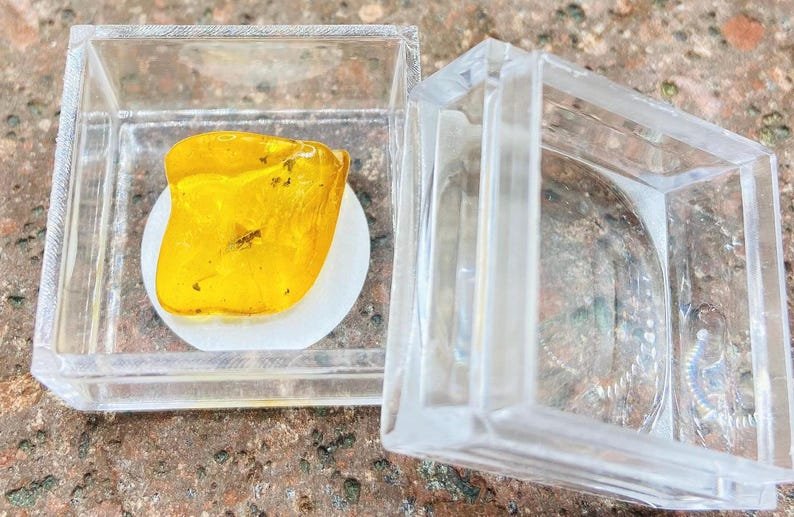 56548094-r-il-018099-6850804939-il_794xN.6850804939_b1nv Miljoniem gadu vecs Dzintara gabaliņš ar palielināmo stikliņu