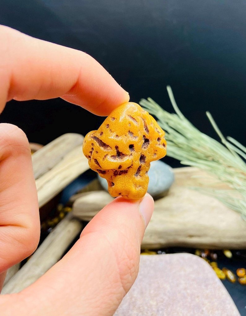 56548094-r-il-059890-7301221971-il_794xN.7301221971_9nsv Autentiskas formas Baltijas Dzintara neapstrādāti akmentiņi