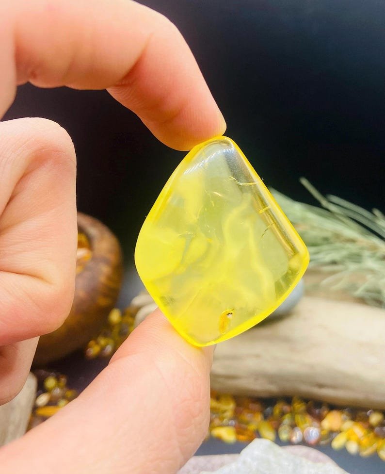 Citrona krāsas spilgtie Balgtijas Dzintara Kabahoni 5 variācijās