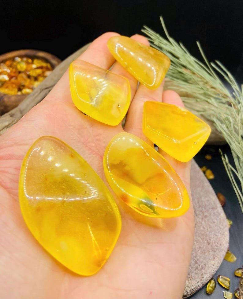 Citrona krāsas spilgtie Balgtijas Dzintara Kabahoni 5 variācijās