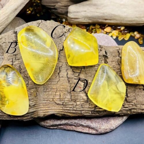 56548094-r-il-4cc132-7247373618-il_794xN.7247373618_55kz Citrona krāsas spilgtie Balgtijas Dzintara Kabahoni 5 variācijās