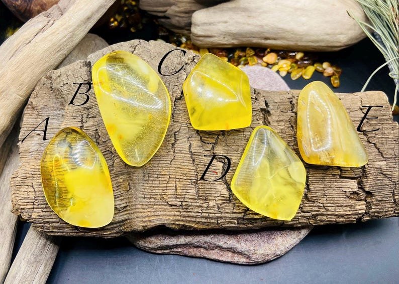 Citrona krāsas spilgtie Balgtijas Dzintara Kabahoni 5 variācijās