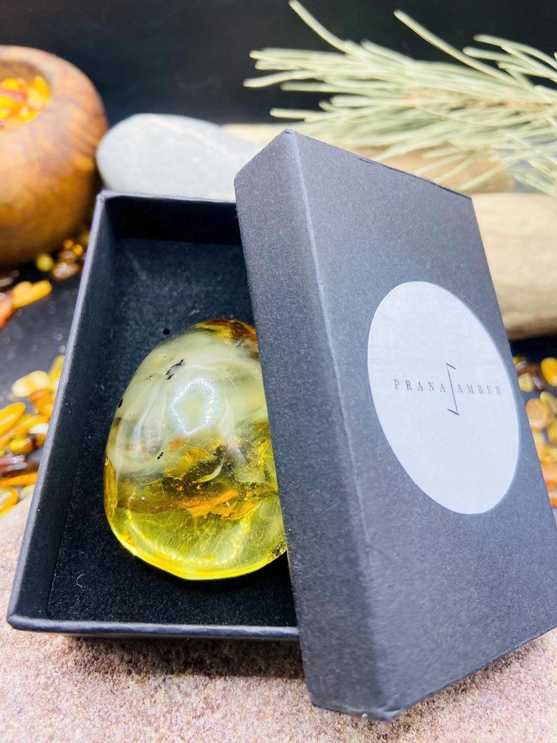 56548094-r-il-6a4d46-7358596195-il_794xN.7358596195_fl84 Burvīgs Dzintara gabals ar unikāliem ietvērumiem, 20 grami smags