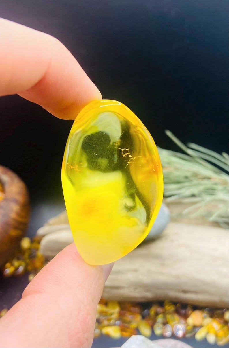 Citrona krāsas spilgtie Balgtijas Dzintara Kabahoni 5 variācijās