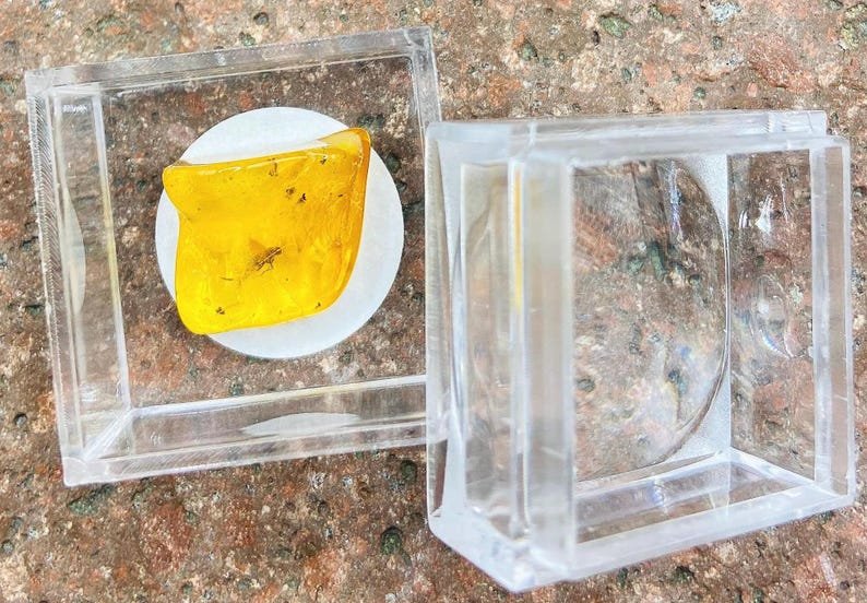 56548094-r-il-96a8d3-6850802717-il_794xN.6850802717_9jdp Miljoniem gadu vecs Dzintara gabaliņš ar palielināmo stikliņu