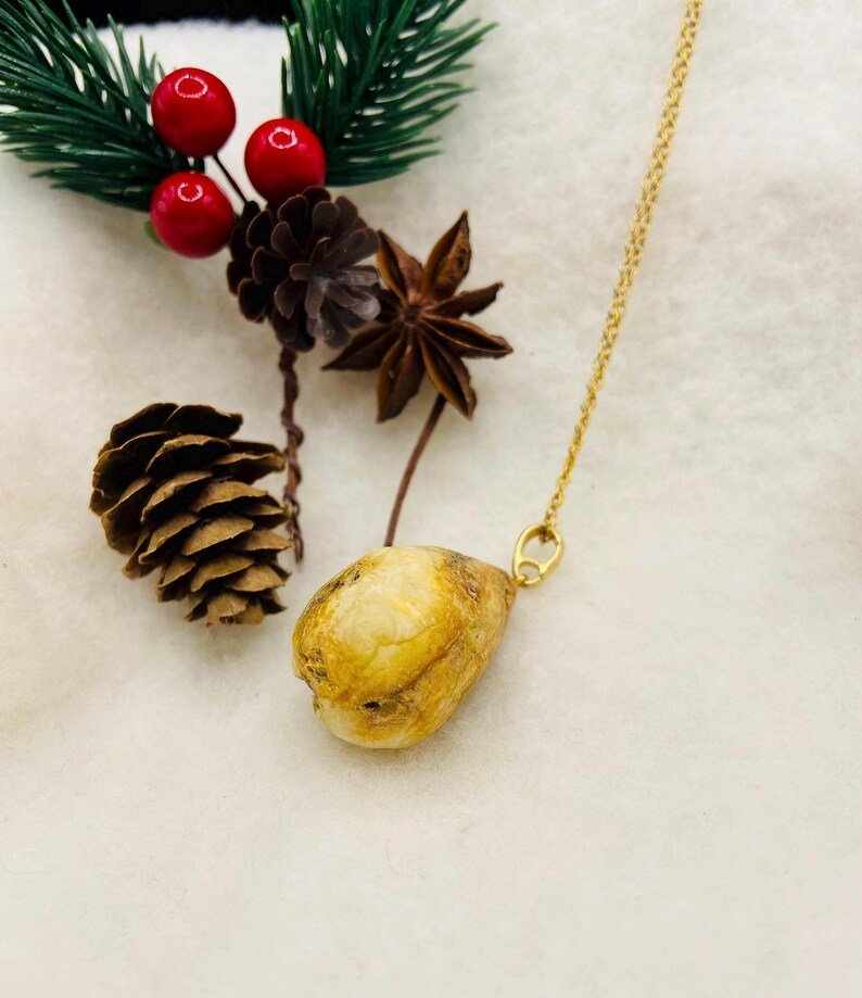 Neapstrādāts un elegants Dzintara kulons abiem dzimumiem