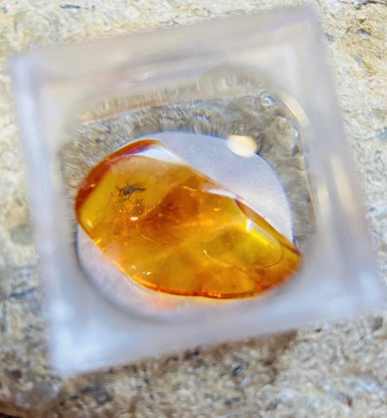 56548094-r-il-a0edf3-6850801683-il_794xN.6850801683_hwvl Miljoniem gadu vecs Dzintara gabaliņš ar palielināmo stikliņu