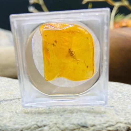 56548094-r-il-a83a37-6850810269-il_794xN.6850810269_8ur2 Miljoniem gadu vecs Dzintara gabaliņš ar palielināmo stikliņu