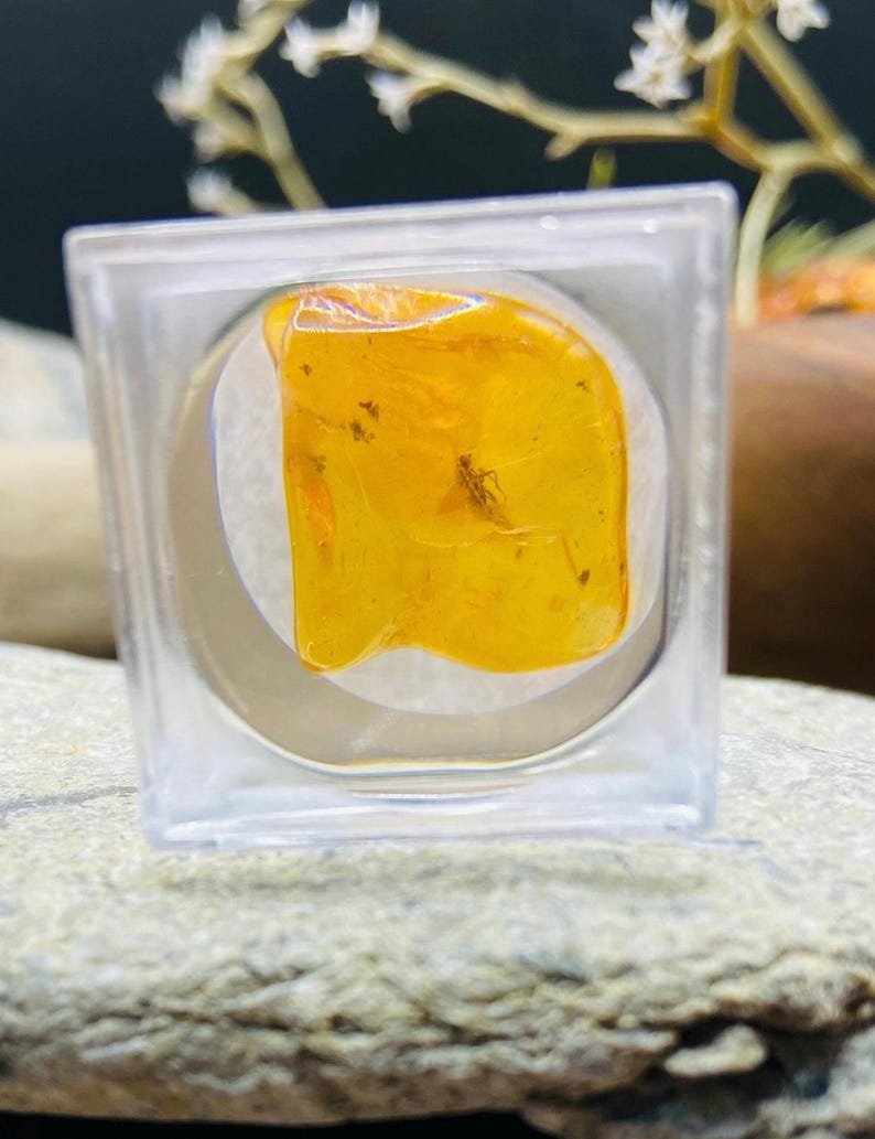 56548094-r-il-a83a37-6850810269-il_794xN.6850810269_8ur2 Miljoniem gadu vecs Dzintara gabaliņš ar palielināmo stikliņu