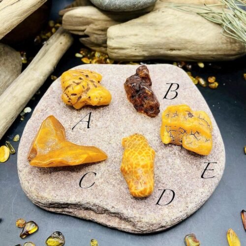 56548094-r-il-bfbd60-7253276762-il_794xN.7253276762_nzxb Autentiskas formas Baltijas Dzintara neapstrādāti akmentiņi