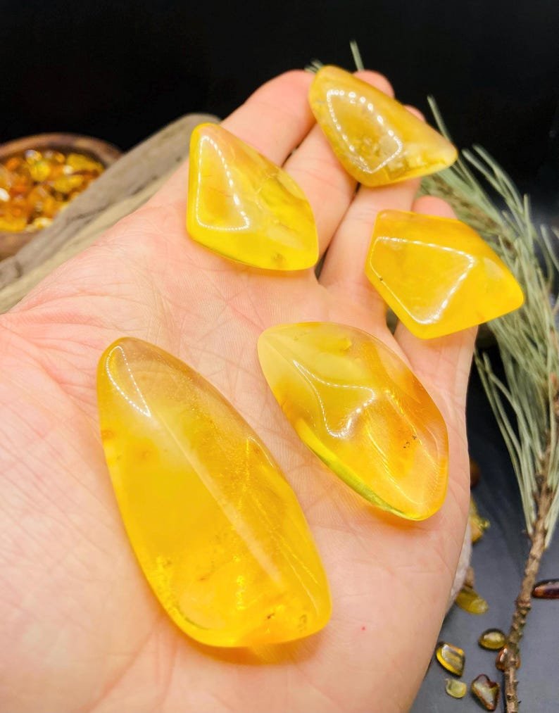 Citrona krāsas spilgtie Balgtijas Dzintara Kabahoni 5 variācijās