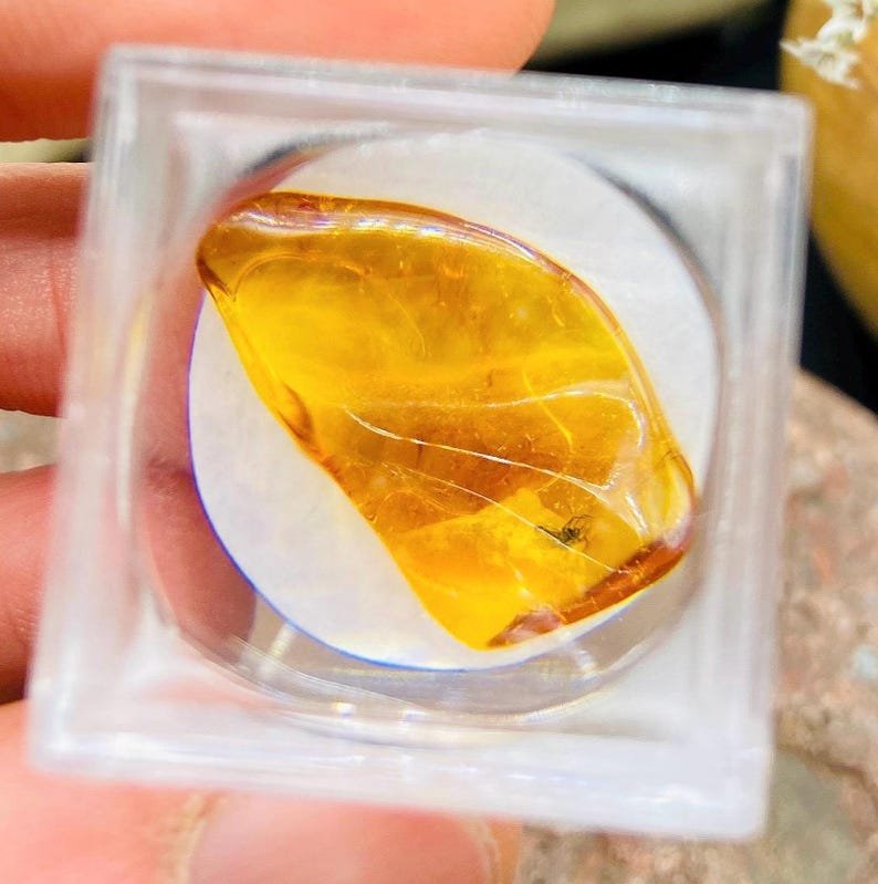 56548094-r-il-e01163-6802797322-il_794xN.6802797322_1oke Miljoniem gadu vecs Dzintara gabaliņš ar palielināmo stikliņu