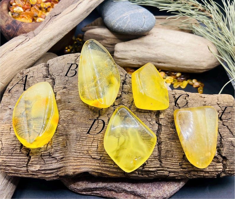 Citrona krāsas spilgtie Balgtijas Dzintara Kabahoni 5 variācijās