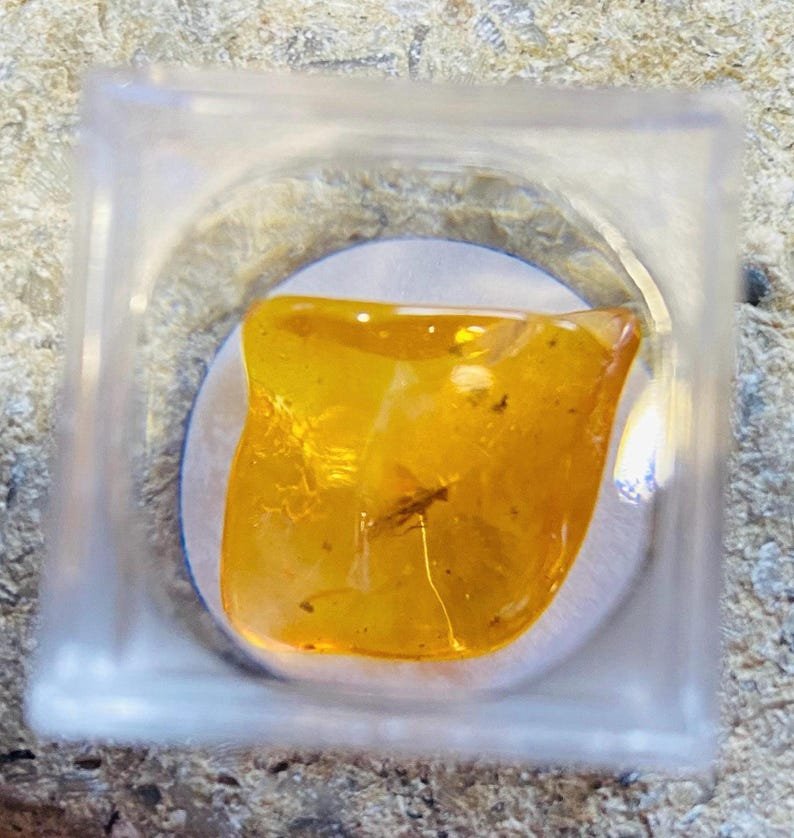 56548094-r-il-f5d3d6-6802801366-il_794xN.6802801366_amfi Miljoniem gadu vecs Dzintara gabaliņš ar palielināmo stikliņu