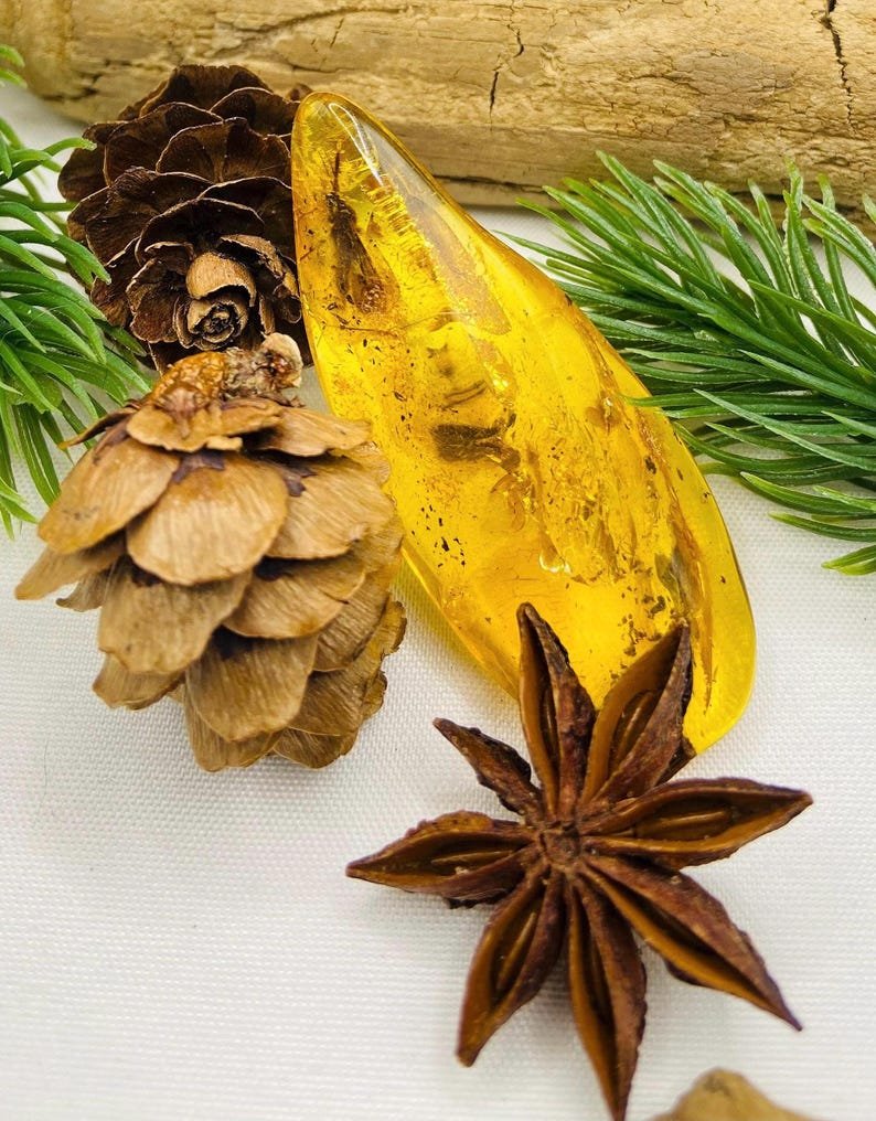 Dzintara gabali ar lieliem insektiem - 2 opcijas