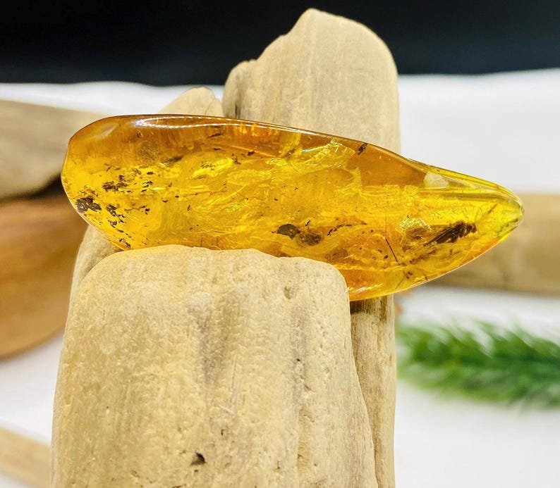 Dzintara gabali ar lieliem insektiem - 2 opcijas