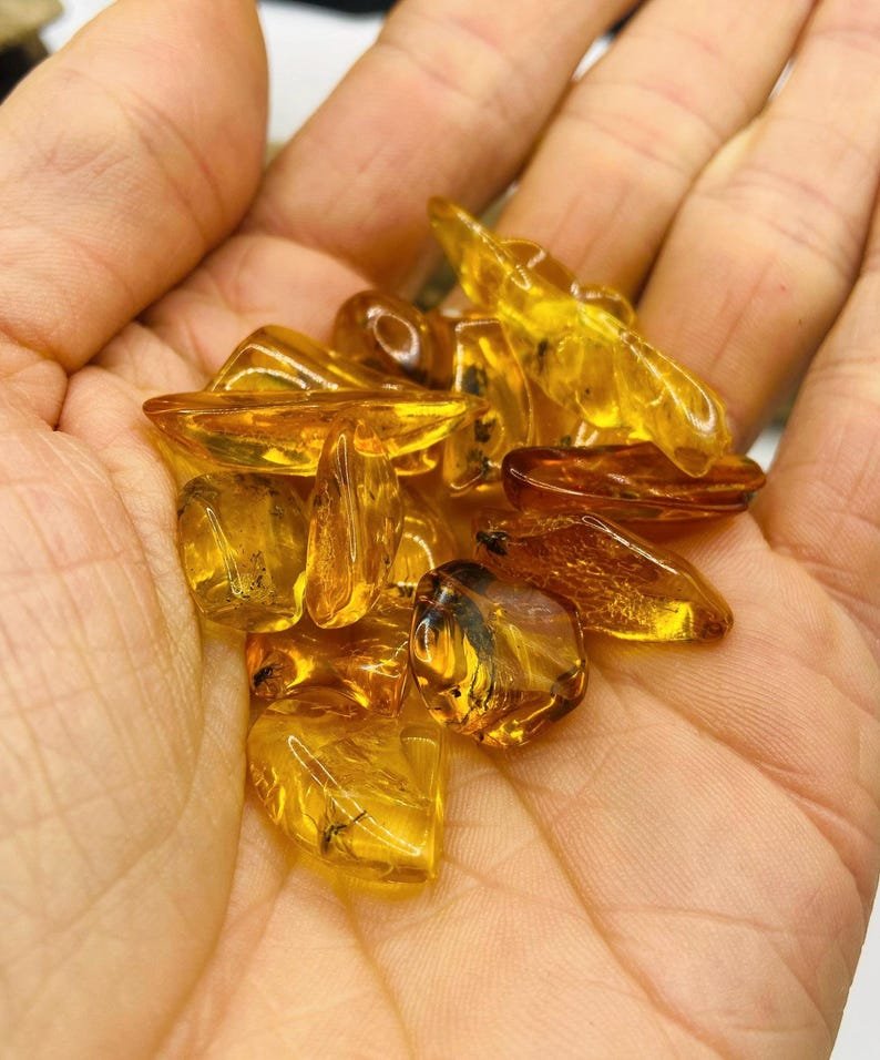 Īsti maziņa izmēra Baltijas Dzintara gabali ar insektu ietvērumiem