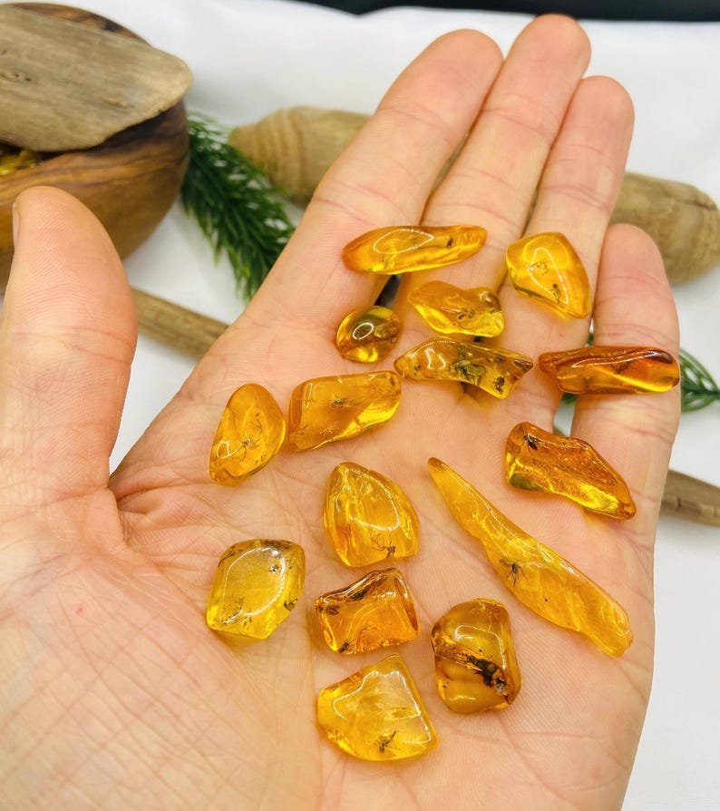 Īsti maziņa izmēra Baltijas Dzintara gabali ar insektu ietvērumiem