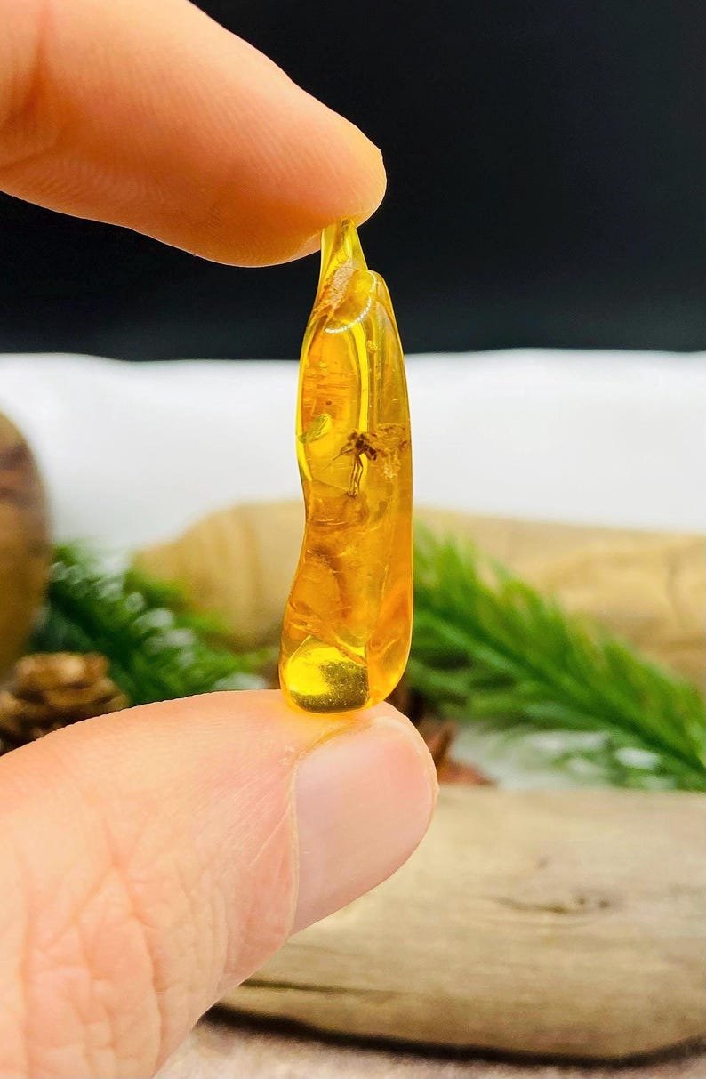 Īsti vidēja izmēra Baltijas Dzintara gabali ar insektu ietvērumiem