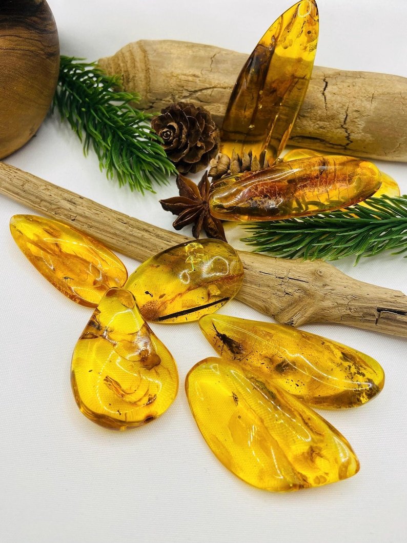 Īsti lielāka izmēra Baltijas Dzintara gabali ar insektu ietvērumiem