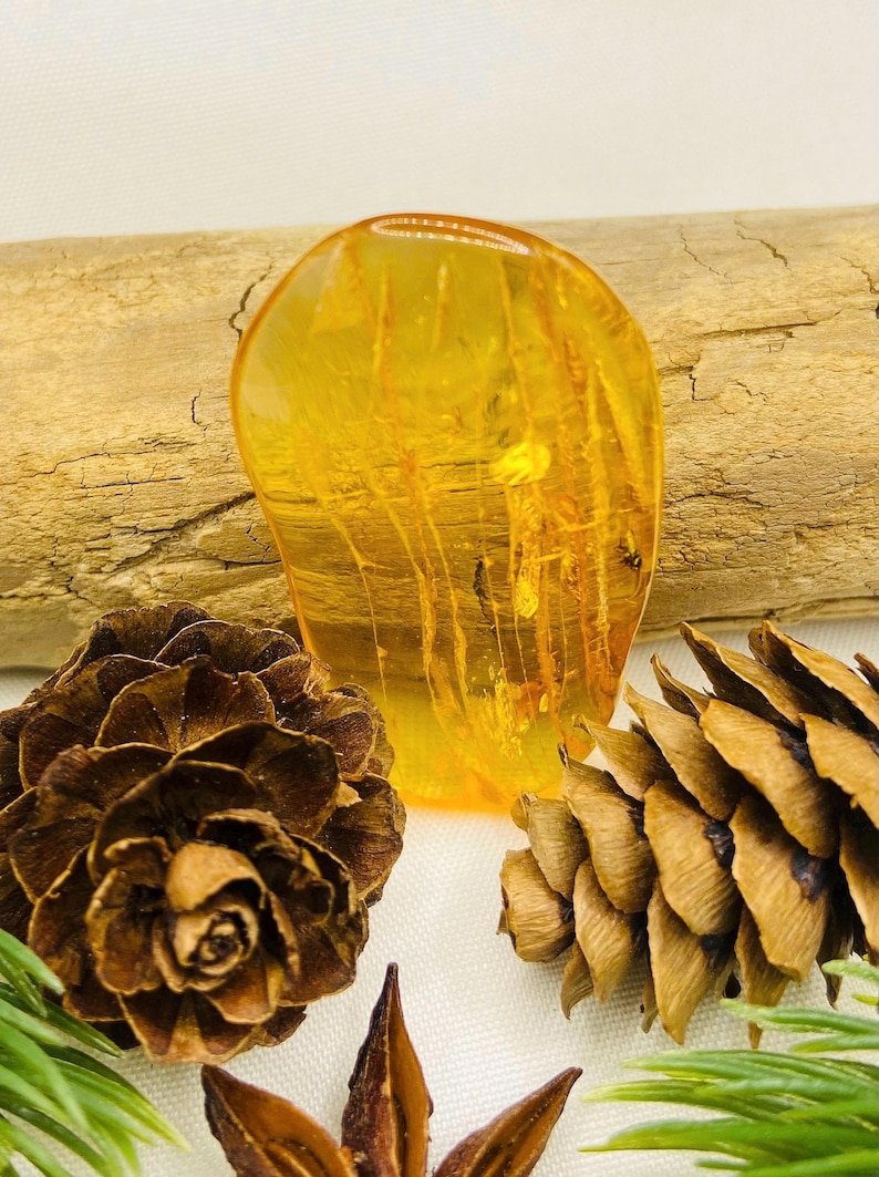 Īsti lielāka izmēra Baltijas Dzintara gabali ar insektu ietvērumiem