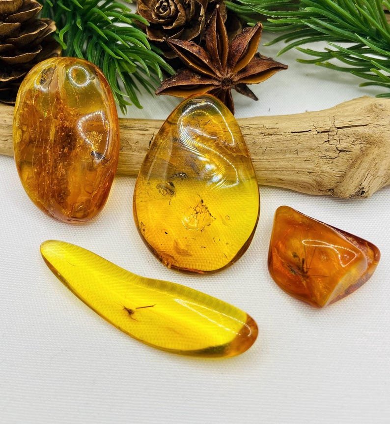 Īsti vidēja izmēra Baltijas Dzintara gabali ar insektu ietvērumiem