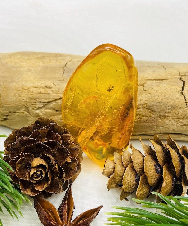 Īsti lielāka izmēra Baltijas Dzintara gabali ar insektu ietvērumiem